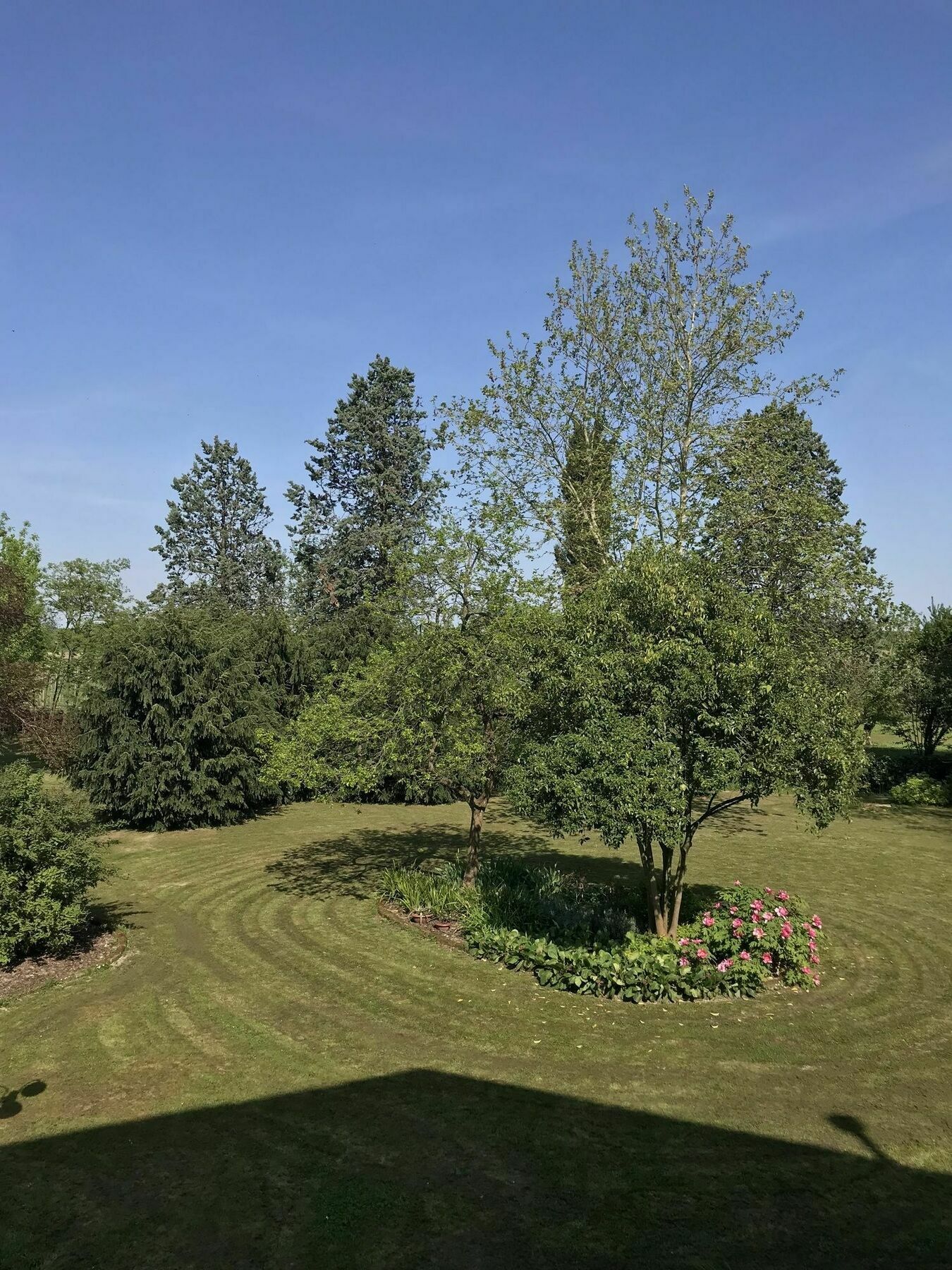 Al Vecchio Fienile Bed & Breakfast San Michele al Tagliamento Bagian luar foto
